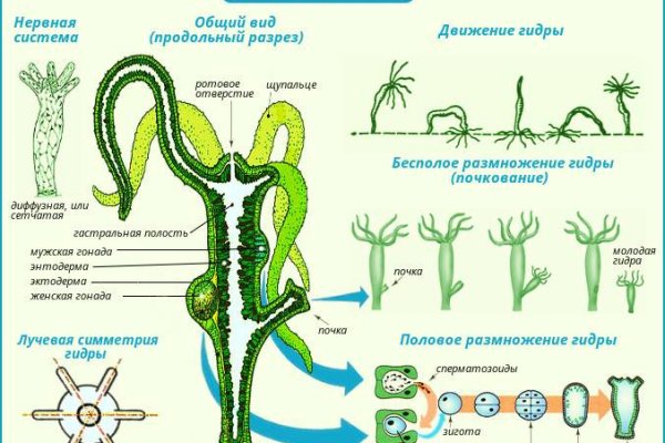 Адрес блэкспрут онион в тор