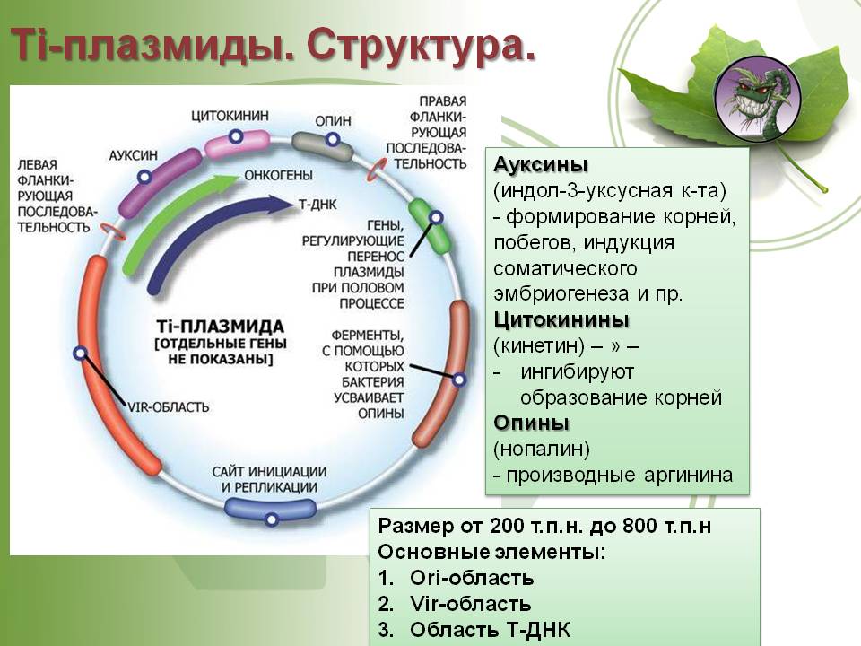 Кракен правильная ссылка 2024 kraken6.at kraken7.at kraken8.at