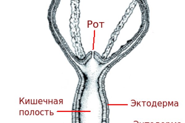 Купить гашиш в телеграмм астане